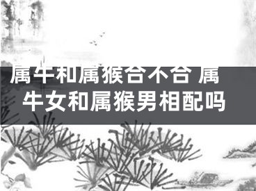 属牛和属猴合不合 属牛女和属猴男相配吗