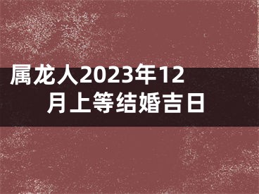 属龙人2023年12月上等结婚吉日