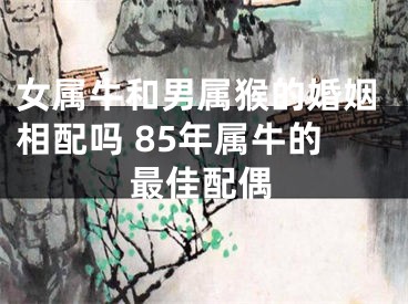 女属牛和男属猴的婚姻相配吗 85年属牛的最佳配偶