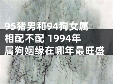 95猪男和94狗女属相配不配 1994年属狗姻缘在哪年最旺盛