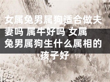 女属兔男属狗适合做夫妻吗 属牛好吗 女属兔男属狗生什么属相的孩子好
