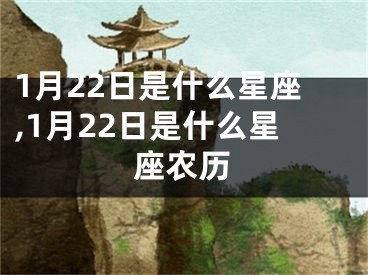 1月22日是什么星座,1月22日是什么星座农历