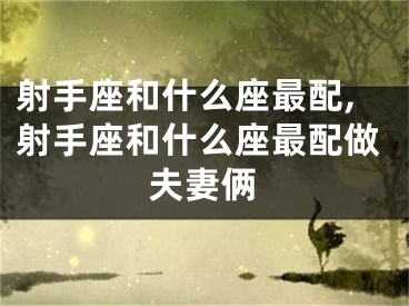 射手座和什么座最配,射手座和什么座最配做夫妻俩