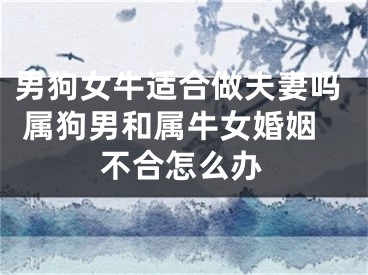 男狗女牛适合做夫妻吗 属狗男和属牛女婚姻不合怎么办