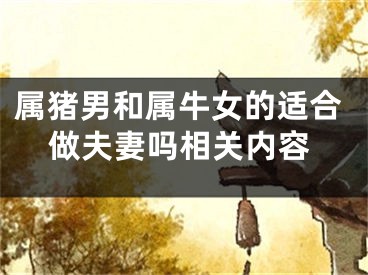 属猪男和属牛女的适合做夫妻吗相关内容