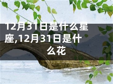 12月31日是什么星座,12月31日是什么花