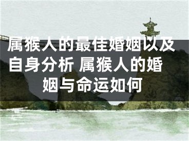 属猴人的最佳婚姻以及自身分析 属猴人的婚姻与命运如何