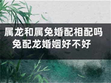 属龙和属兔婚配相配吗 兔配龙婚姻好不好