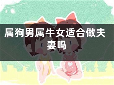 属狗男属牛女适合做夫妻吗