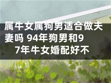属牛女属狗男适合做夫妻吗 94年狗男和97年牛女婚配好不