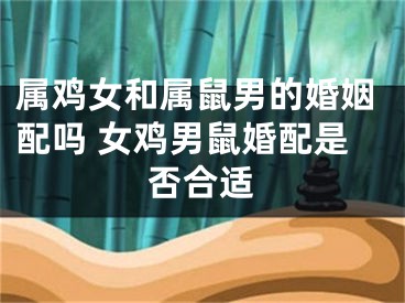 属鸡女和属鼠男的婚姻配吗 女鸡男鼠婚配是否合适