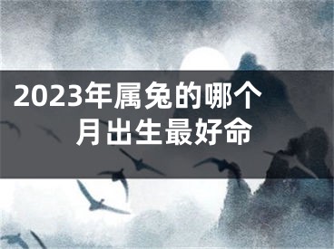 2023年属兔的哪个月出生最好命