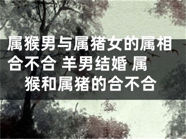 属猴男与属猪女的属相合不合 羊男结婚 属猴和属猪的合不合