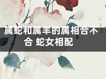 属蛇和属羊的属相合不合 蛇女相配