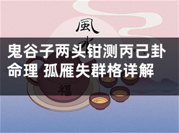 鬼谷子两头钳测丙己卦命理 孤雁失群格详解