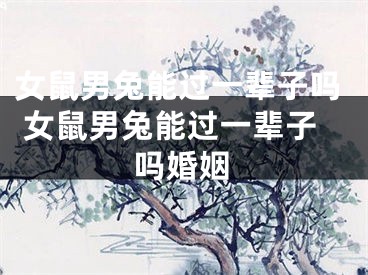 女鼠男兔能过一辈子吗 女鼠男兔能过一辈子吗婚姻