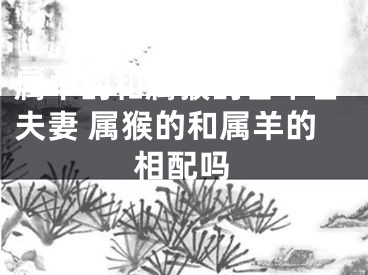 属羊的和属猴的合不合夫妻 属猴的和属羊的相配吗