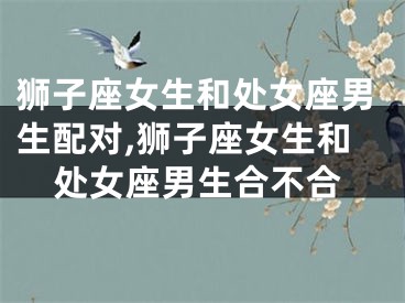 狮子座女生和处女座男生配对,狮子座女生和处女座男生合不合