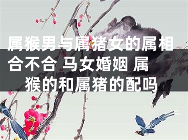 属猴男与属猪女的属相合不合 马女婚姻 属猴的和属猪的配吗
