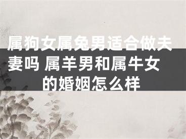 属狗女属兔男适合做夫妻吗 属羊男和属牛女的婚姻怎么样