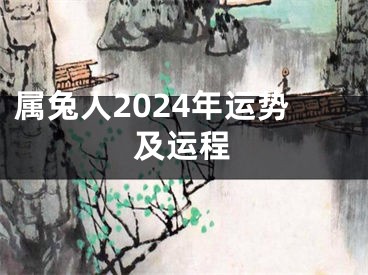 属兔人2024年运势及运程