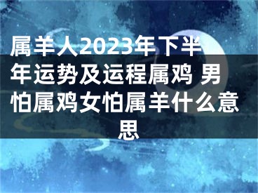 属羊人2023年下半年运势及运程属鸡 男怕属鸡女怕属羊什么意思