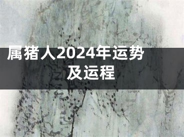 属猪人2024年运势及运程