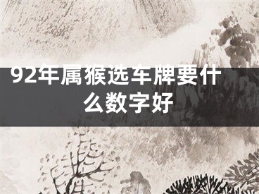 92年属猴选车牌要什么数字好