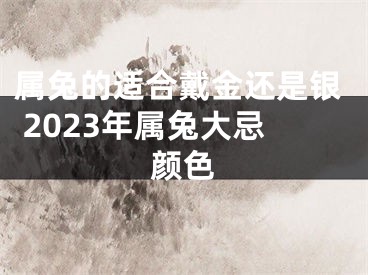 属兔的适合戴金还是银 2023年属兔大忌颜色