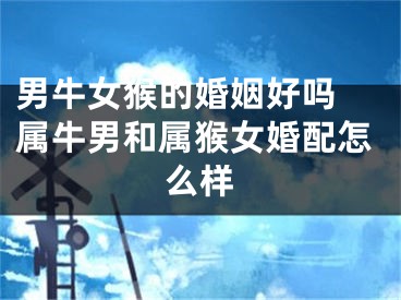 男牛女猴的婚姻好吗 属牛男和属猴女婚配怎么样