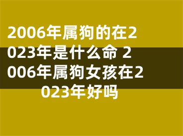 2006年属狗的在2023年是什么命 2006年属狗女孩在2023年好吗