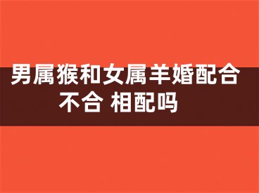 男属猴和女属羊婚配合不合 相配吗