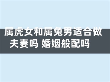 属虎女和属兔男适合做夫妻吗 婚姻般配吗