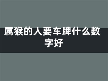 属猴的人要车牌什么数字好
