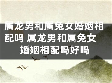 属龙男和属兔女婚姻相配吗 属龙男和属兔女婚姻相配吗好吗