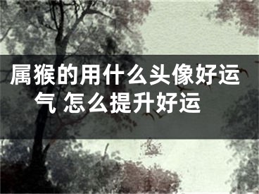 属猴的用什么头像好运气 怎么提升好运