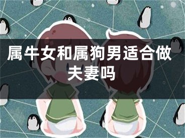 属牛女和属狗男适合做夫妻吗