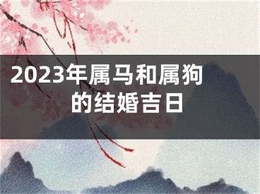 2023年属马和属狗的结婚吉日