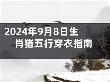2024年9月8日生肖猪五行穿衣指南