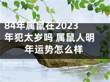 84年属鼠在2023年犯太岁吗 属鼠人明年运势怎么样