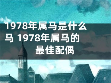 1978年属马是什么马 1978年属马的最佳配偶