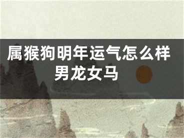 属猴狗明年运气怎么样 男龙女马