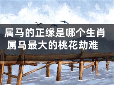 属马的正缘是哪个生肖 属马最大的桃花劫难