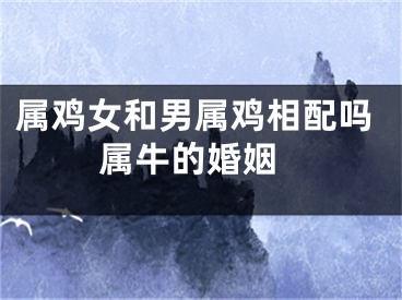 属鸡女和男属鸡相配吗 属牛的婚姻
