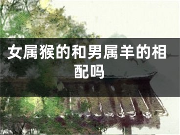 女属猴的和男属羊的相配吗