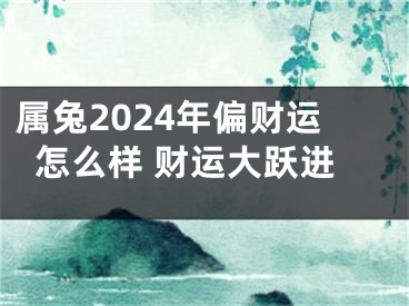 属兔2024年偏财运怎么样 财运大跃进
