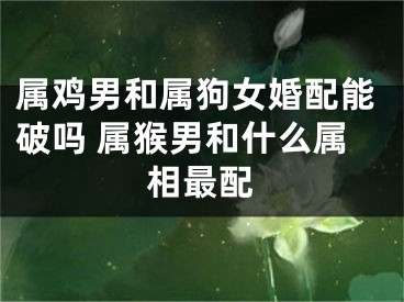 属鸡男和属狗女婚配能破吗 属猴男和什么属相最配