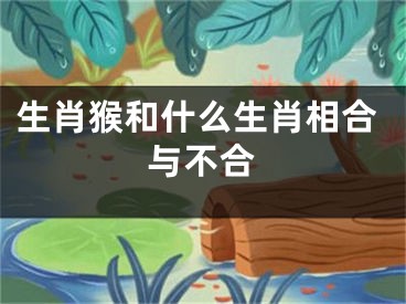 生肖猴和什么生肖相合与不合
