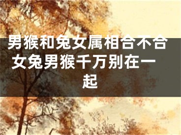 男猴和兔女属相合不合 女兔男猴千万别在一起