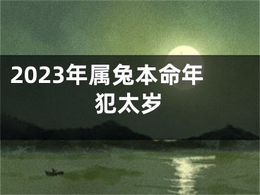 2023年属兔本命年犯太岁